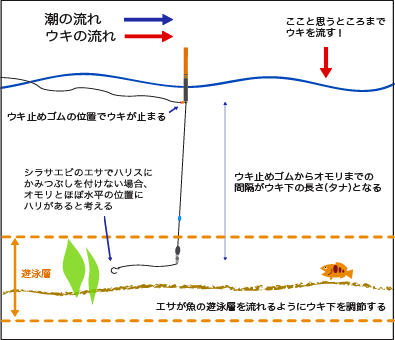 ウキ釣りの仕方 釣り釣り堀情報バンク 管理釣り場で子供と一緒に魚釣り 釣り 管理釣り場